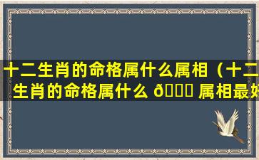 十二生肖的命格属什么属相（十二生肖的命格属什么 🐈 属相最好）